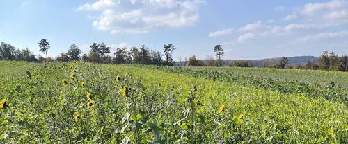 Diagnostics émissions et sols AgroImpact