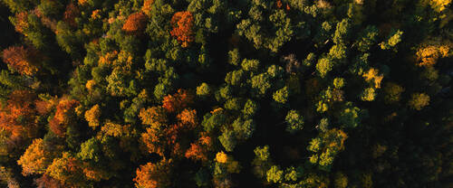 Rapport de gestion 2025 | Message aux actionnaires