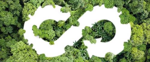 Programme de conseil sur l’efficacité des ressources