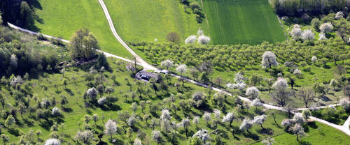 Placements monétaires