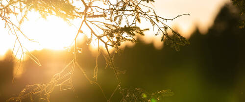 Rapport de gestion 2025 | Préface