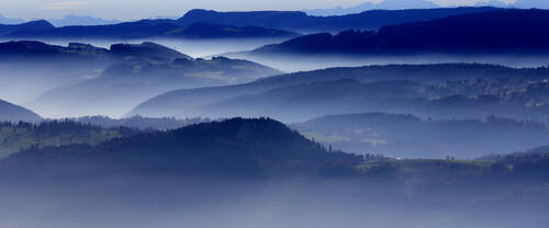 Services de placement