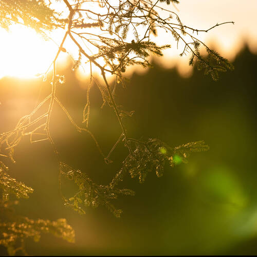 Rapport de gestion 2025 | Préface