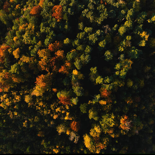 Rapport de gestion 2025 | Message aux actionnaires