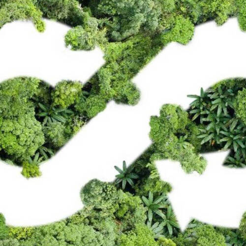 Programme de conseil sur l’efficacité des ressources