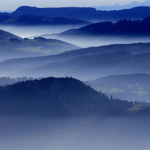 Services de placement