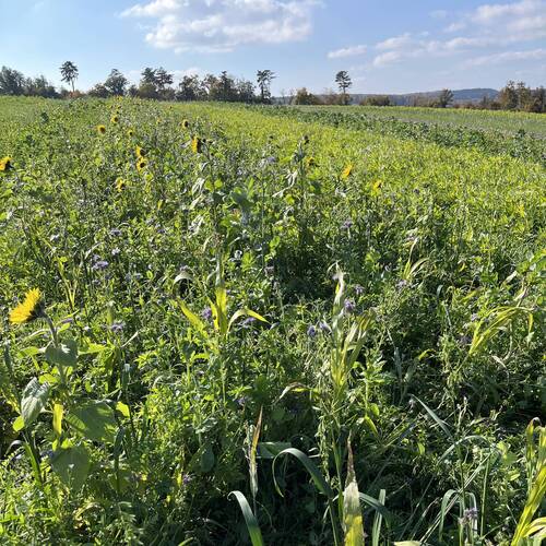 Diagnostics émissions et sols AgroImpact