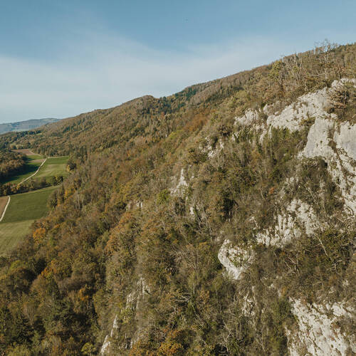 Conseil d'administration