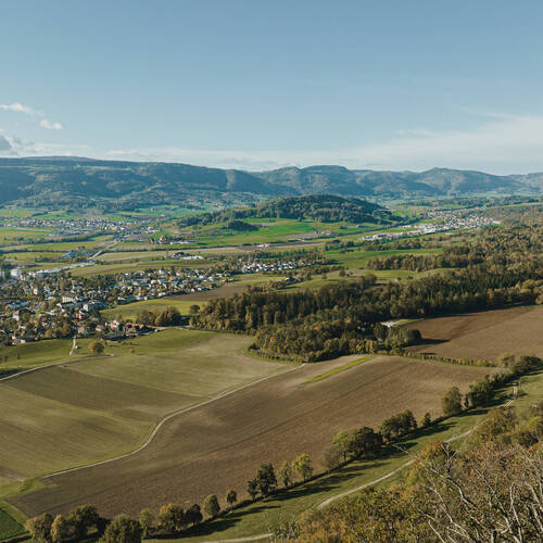 Obligations de caisse