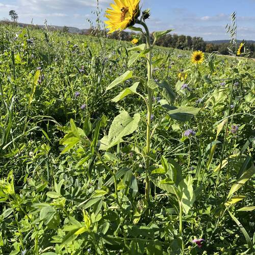 Communiqué de presse | Transition agricole jurassienne