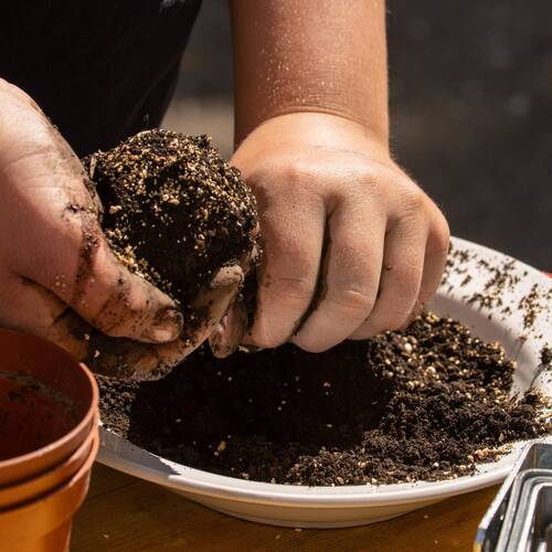 Description de l'image