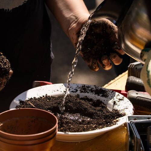 Description de l'image