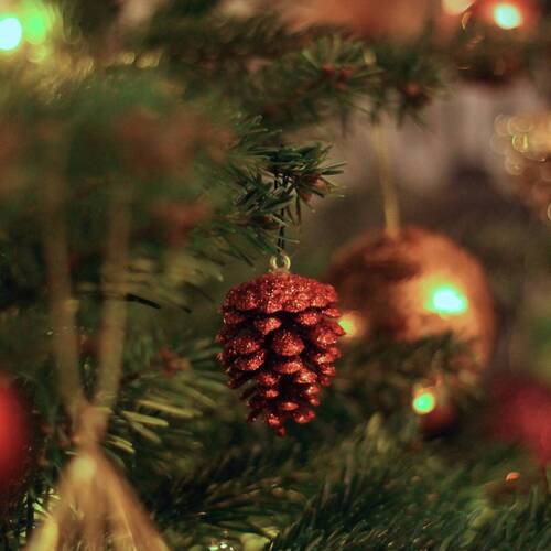 Informations de fin d'année 2025