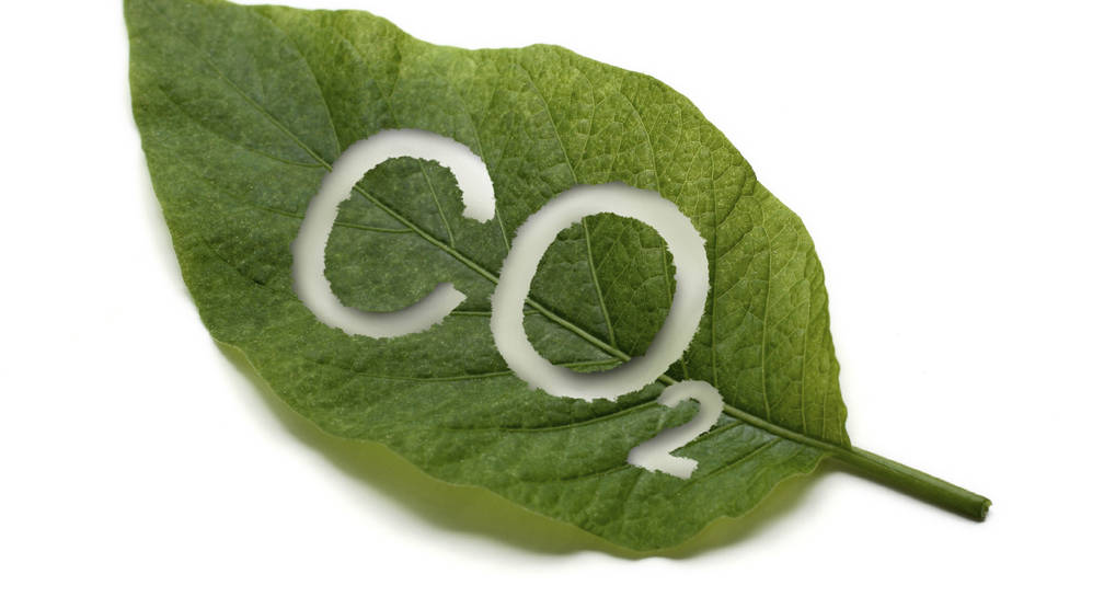 CO2 neutre