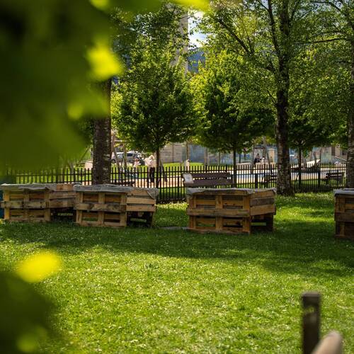 Description de l'image