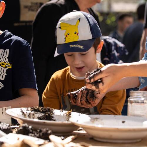 Description de l'image