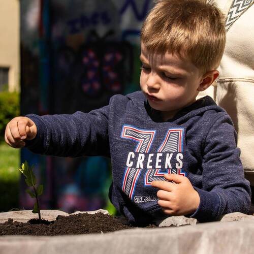 Description de l'image