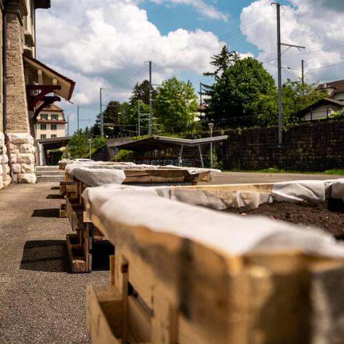 Description de l'image