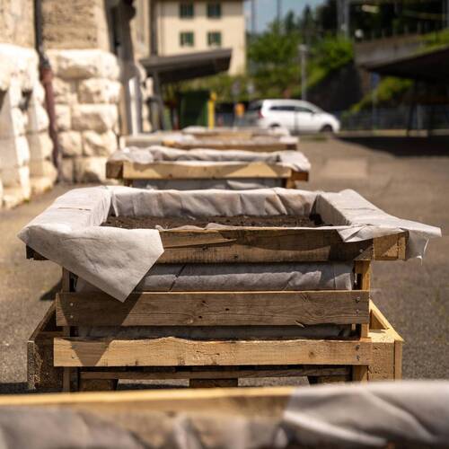 Description de l'image