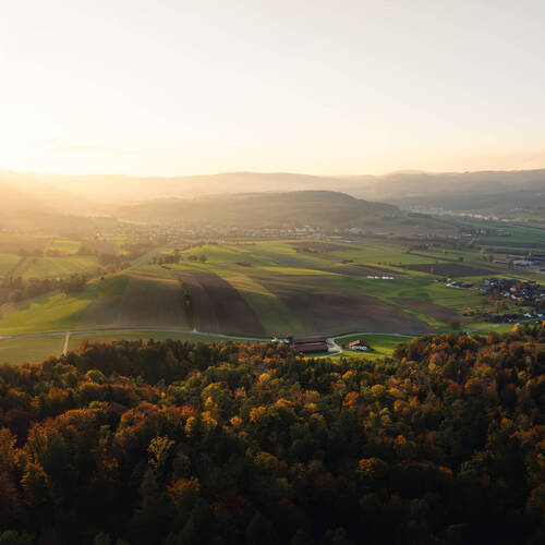 Inscrivez-vous à notre atelier thématique pour les entreprises