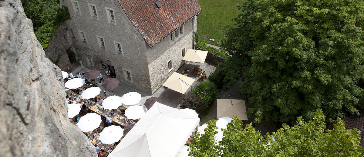 Château de Pleujouse