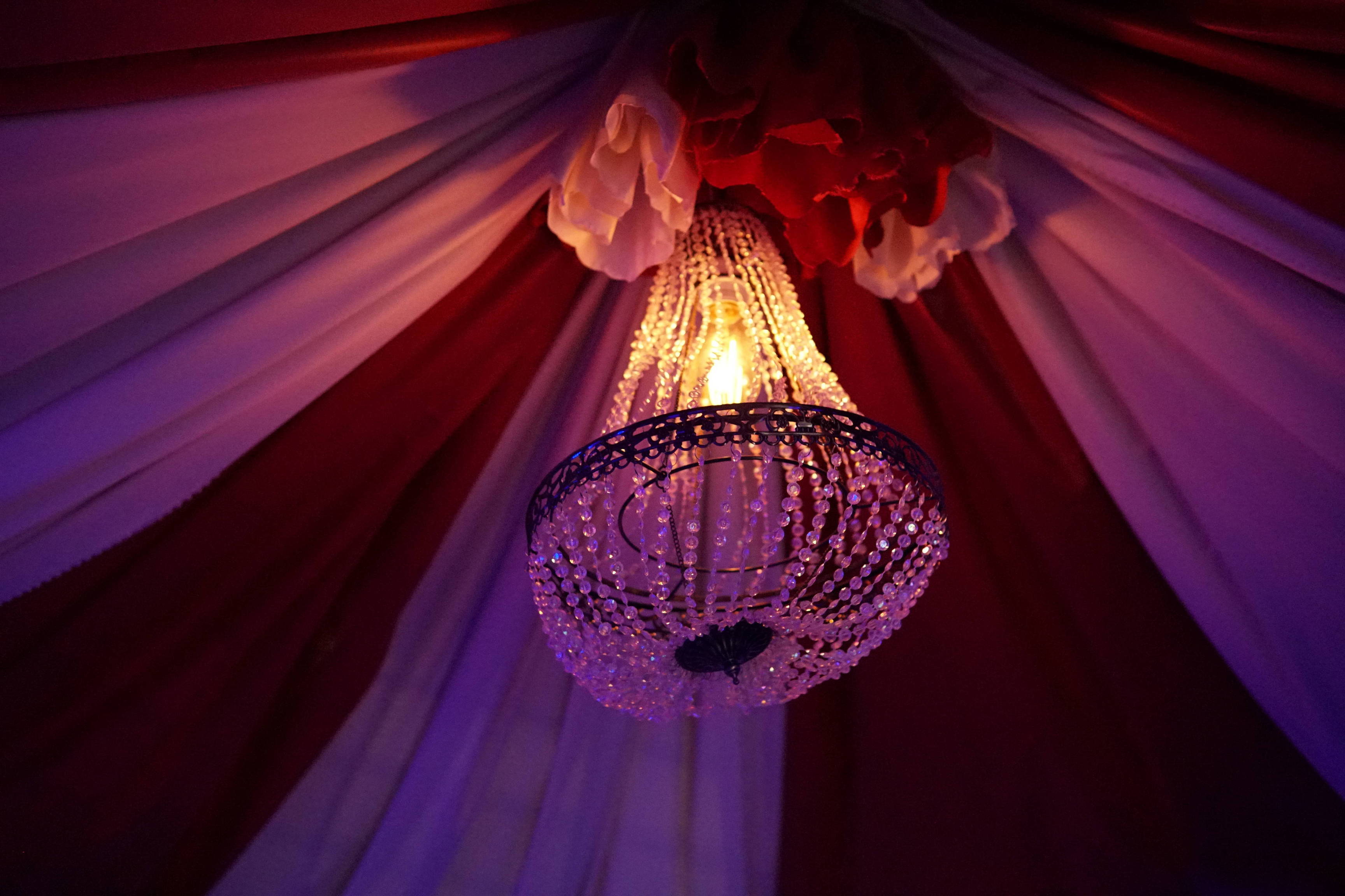 Circus