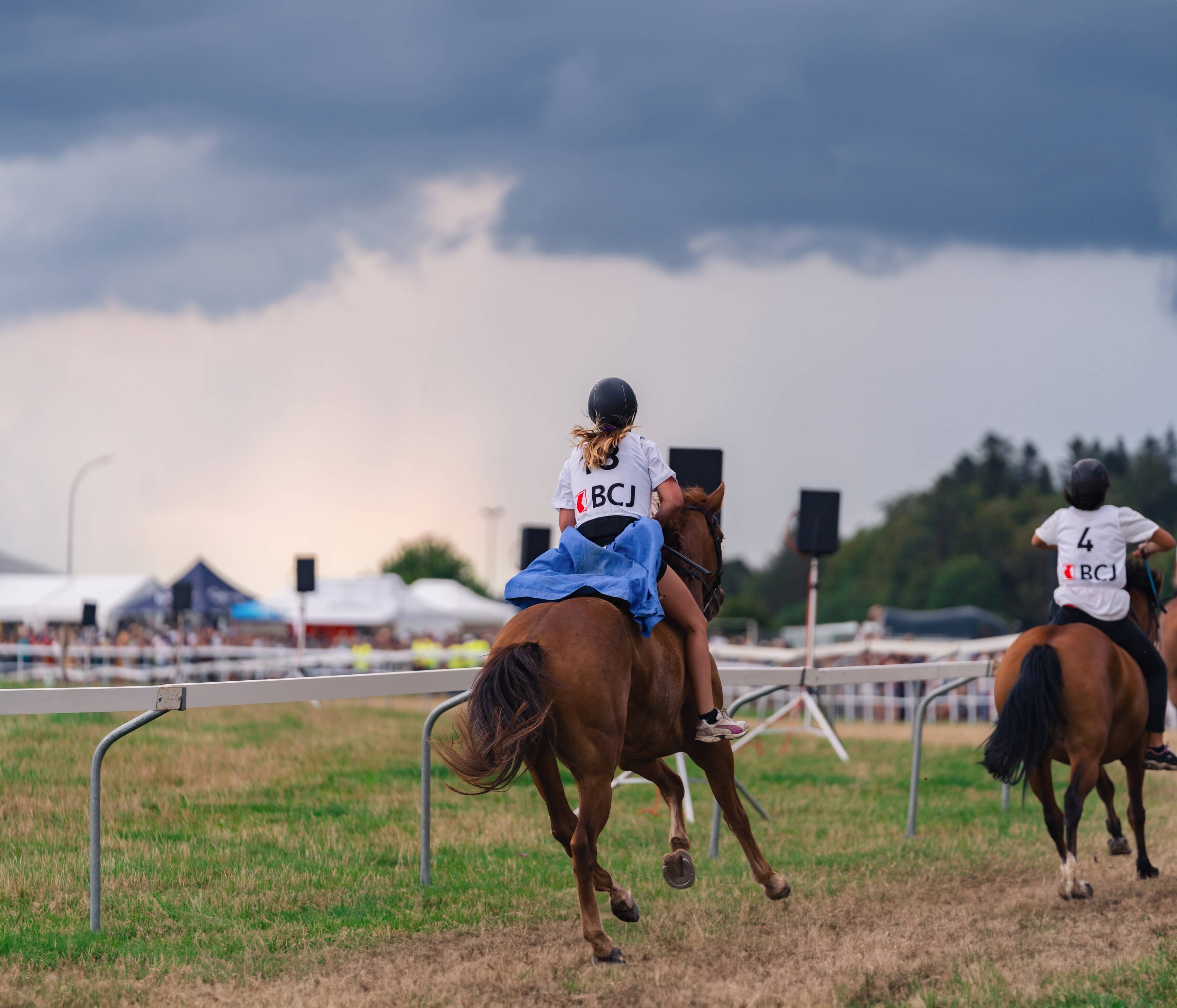 Marché-Concours national de chevaux