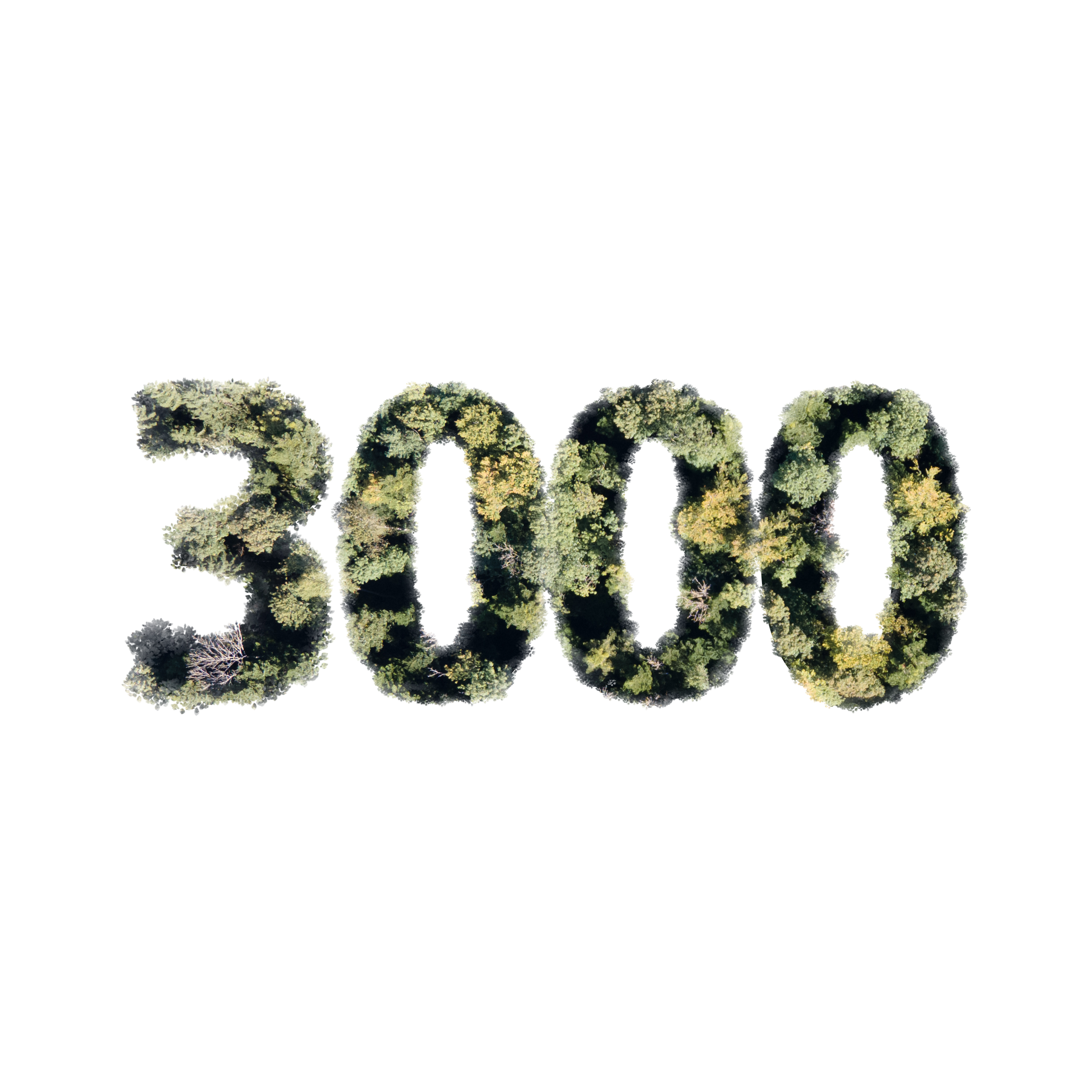 3'000 arbres plantés