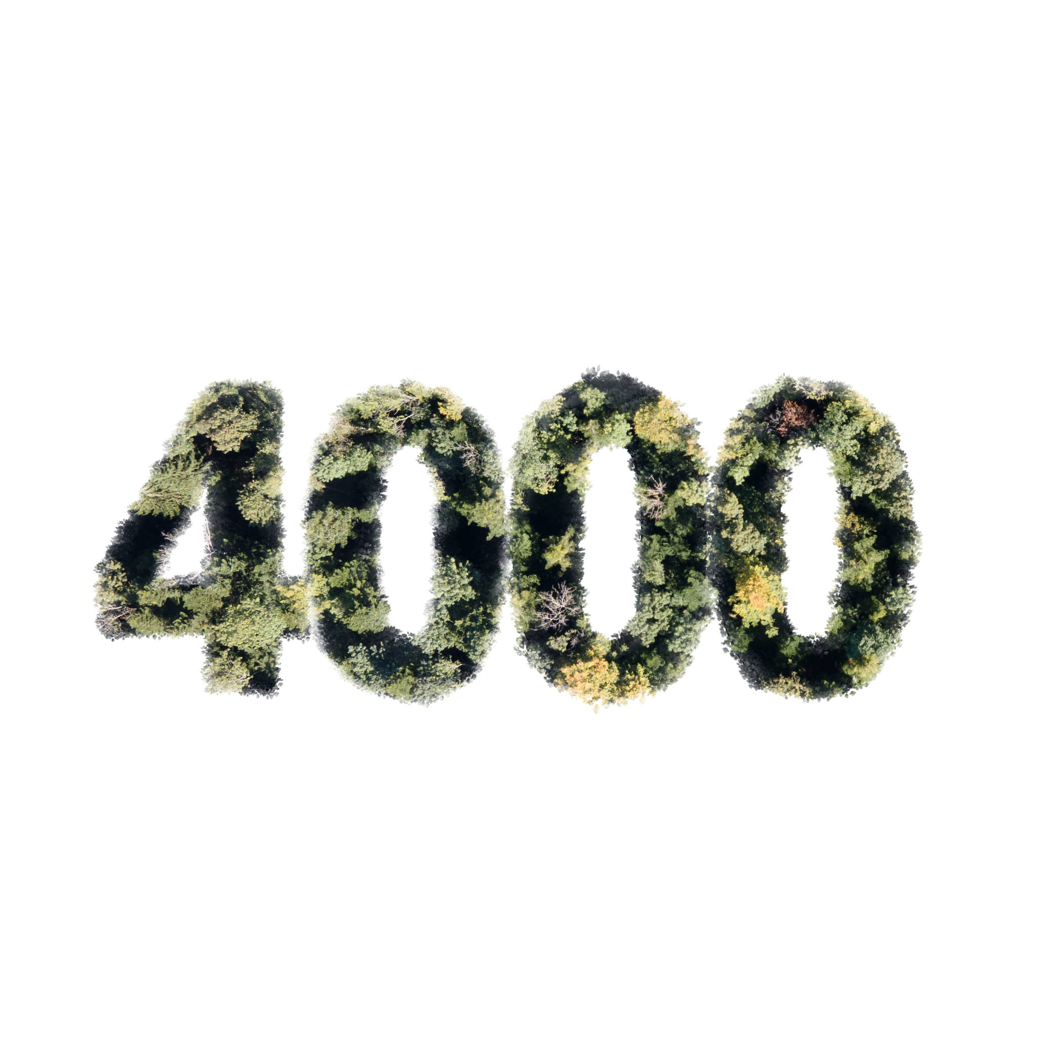 4'000 arbres