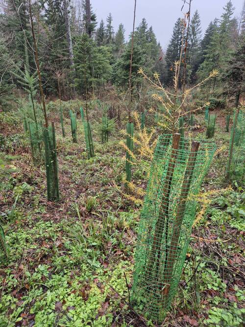 Interview - Maude Ehrbar