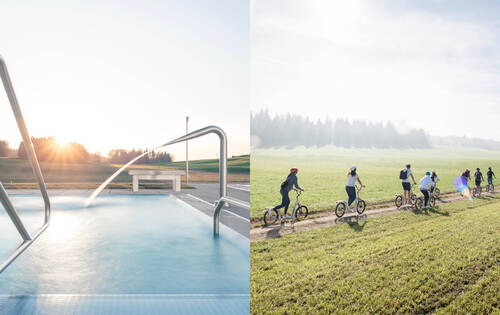 wellness et trott