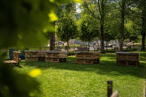 Nos actions citoyennes