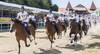 Marché concours
