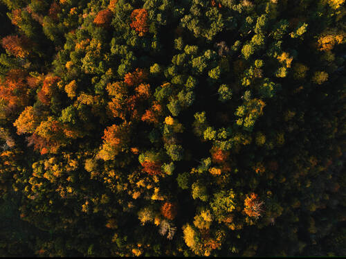 Messages aux actionnaires