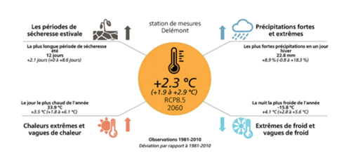 Impacts du dérèglement climatique dans le Jura