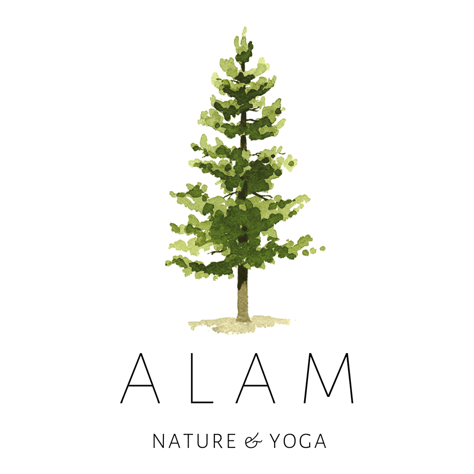 Alam nature et yoga