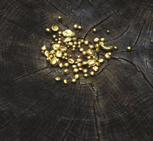 LEAD Technologies Inc. V1.01