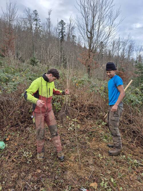 Interview - Maude Ehrbar