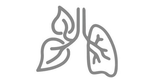 Réduire les émissions de CO2​