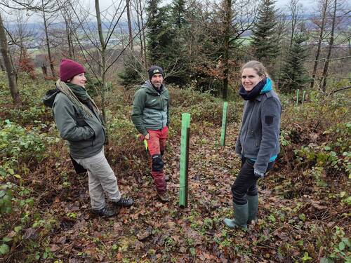 Maude Ehrbar de l’Office de l’Environnement, Blaise Vallat qui est en charge des plantations et Caroline Christe, responsable RSE de la Banque Cantonale du Jura