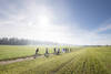 Trottinettes Combe Tabeillon