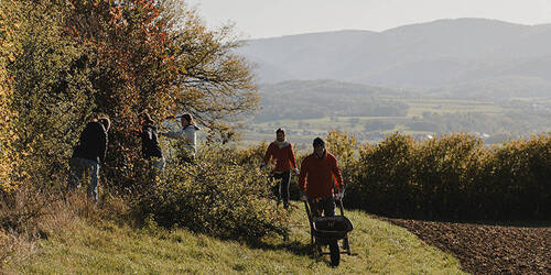 Produits et prestations